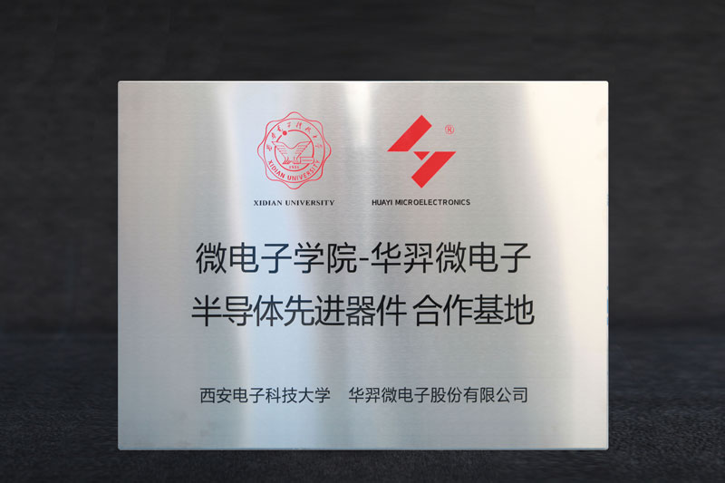 微电子学院-LEwin乐玩微电半导体先进器件合作基地