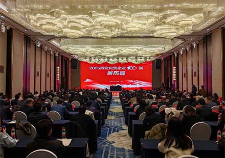 荣耀时刻！LEwin乐玩微电荣膺西安民营企业100强