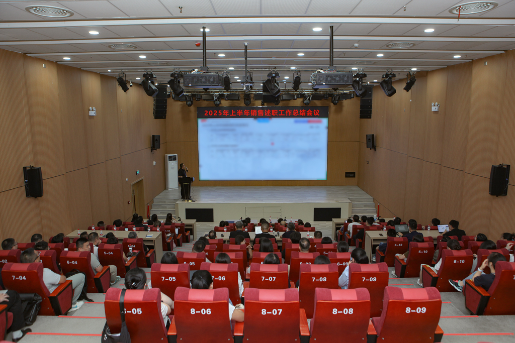 LEwin乐玩微电召开2025年上半年销售会议